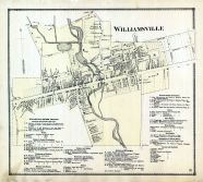 Williamsville, Erie County 1866